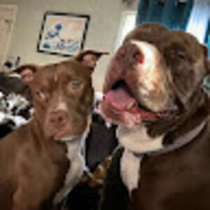 Meet your Posher, Roxanne